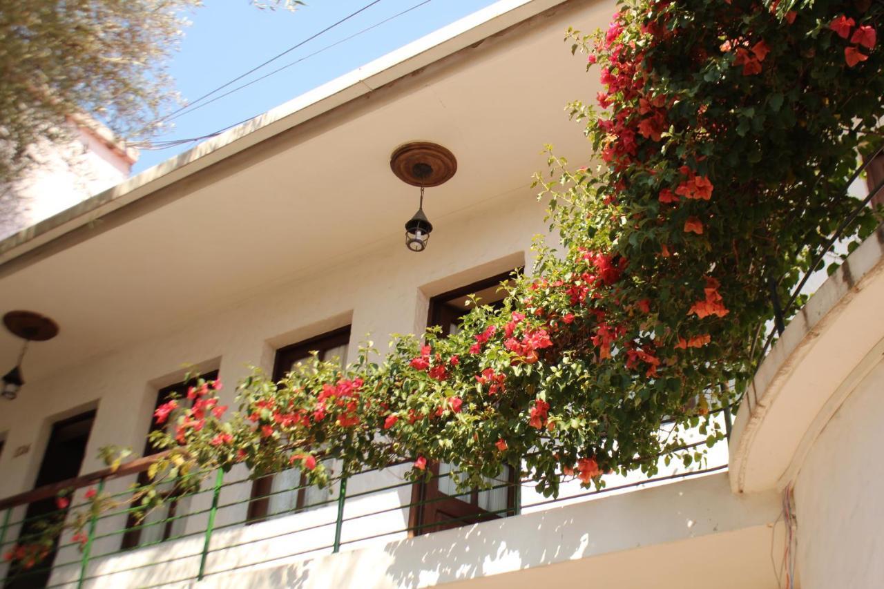 Hostal Viejo Olivo Sucre Extérieur photo